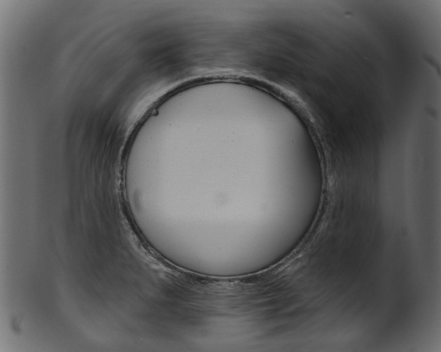 X0000102041279200807181021