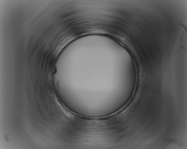 X0000102041281200807181021