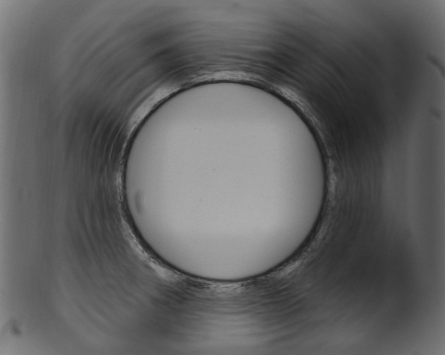 X0000102041282200807181021