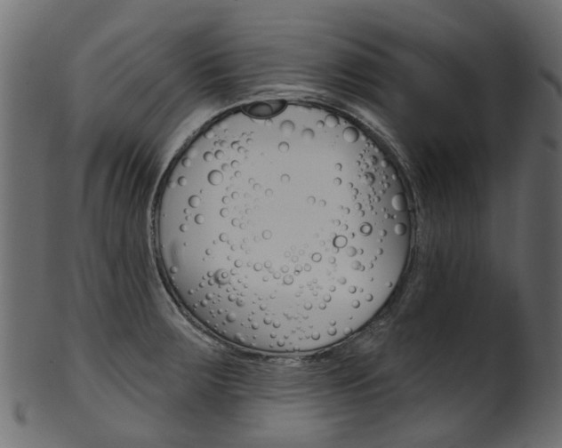 X0000102041283200807181021