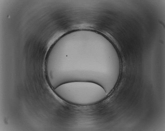 X0000102041285200807181021