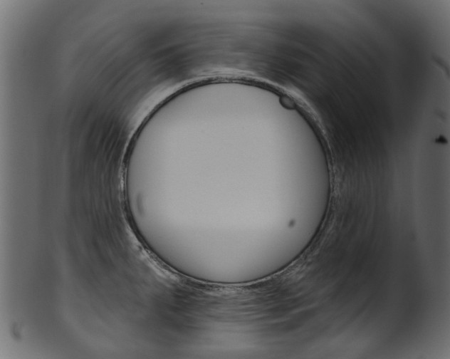 X0000102041287200807181021