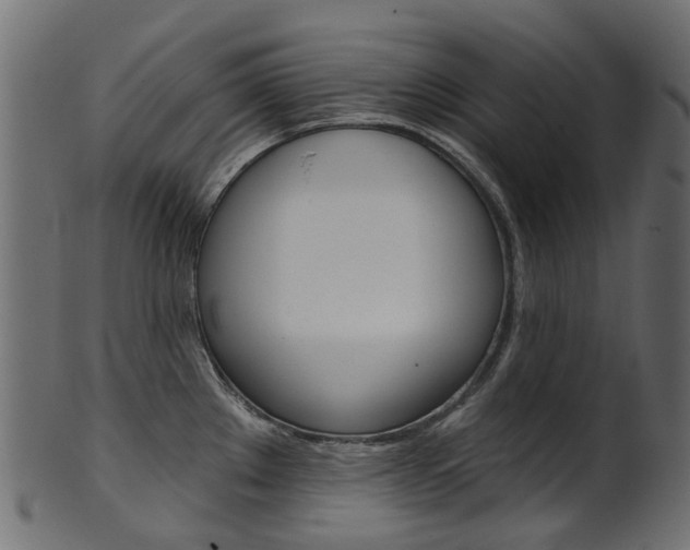 X0000102041289200807181021