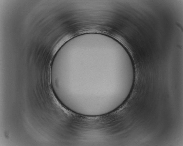 X0000102041290200807181021