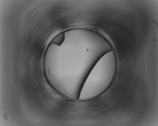 X0000102041291200807181021