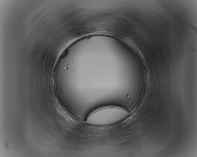 X0000102041292200807181021
