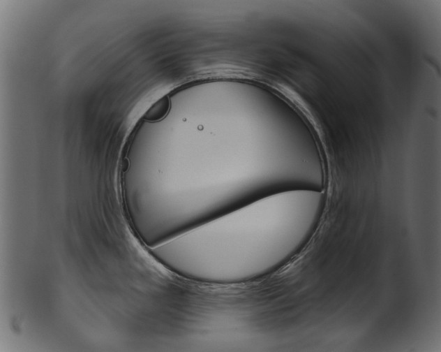 X0000102041293200807181021
