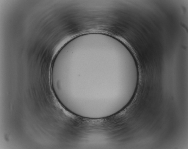 X0000102041294200807181021