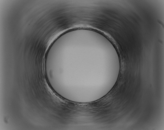 X0000102041295200807181021