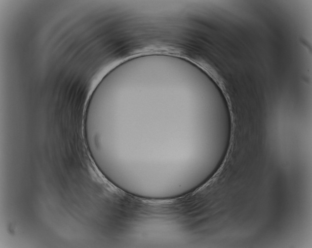 X0000102041296200807181021