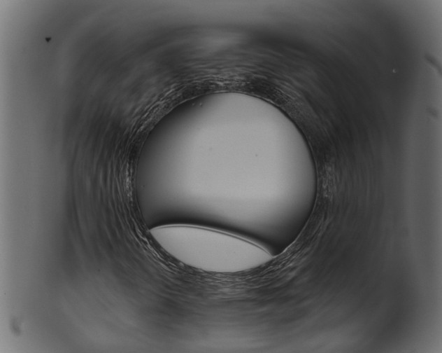 X0000102041298200807181020