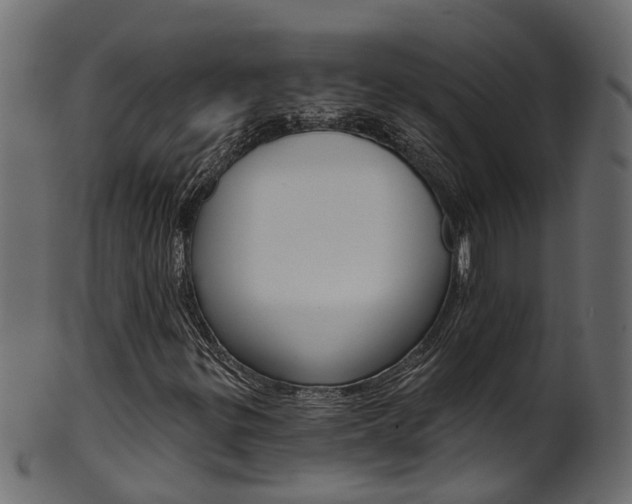 X0000102041299200807181020