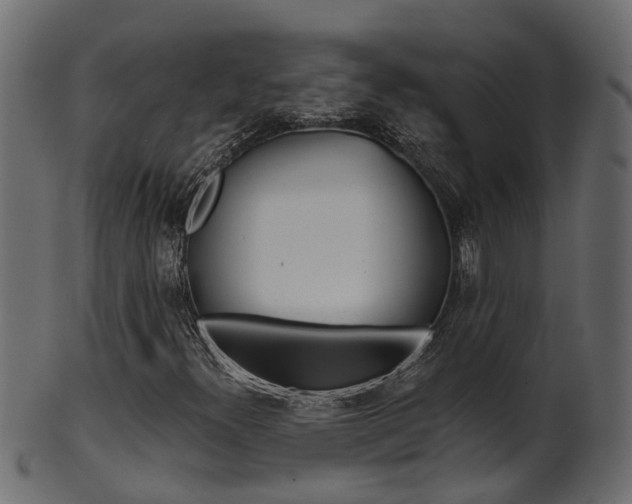 X0000102041300200807181020