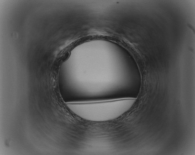 X0000102041303200807181020