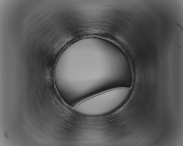 X0000102041305200807181020