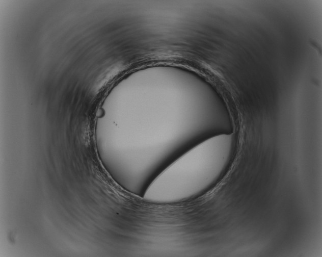 X0000102041306200807181020