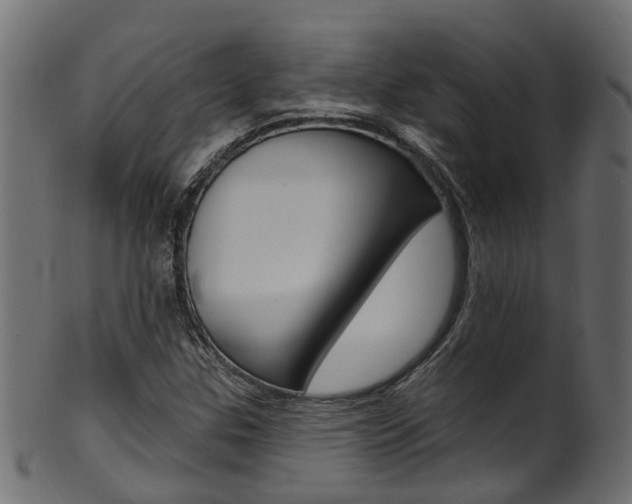 X0000102041307200807181020