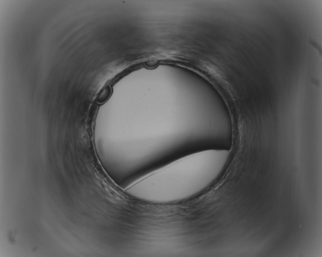 X0000102041308200807181020