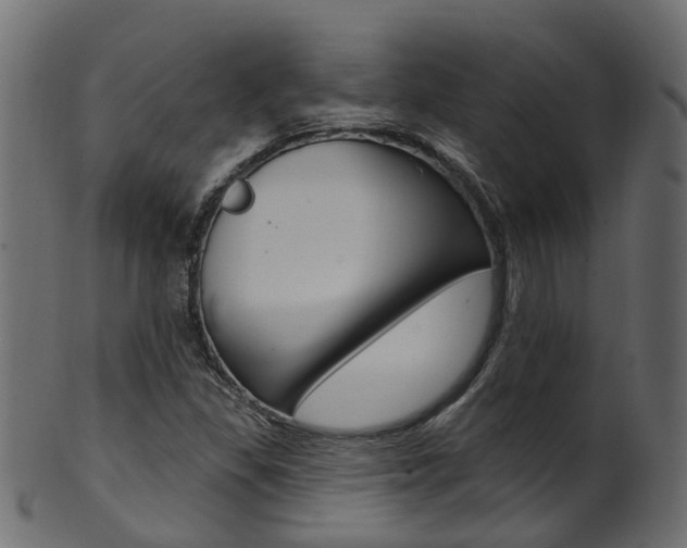 X0000102041309200807181020