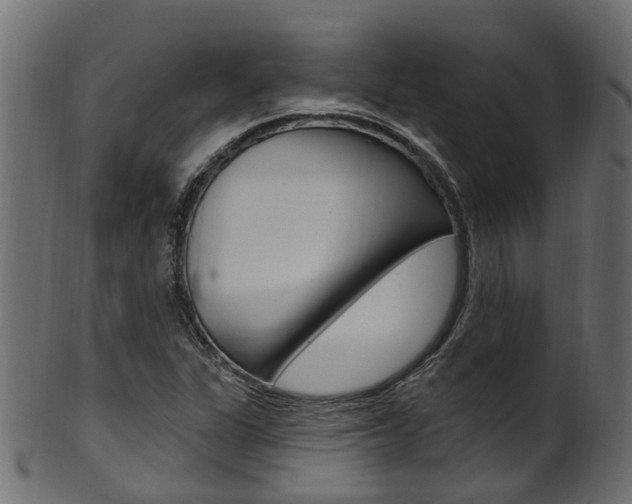 X0000102041311200807181020