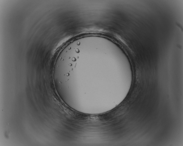 X0000102041315200807181020
