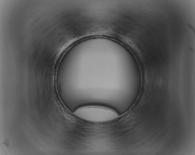 X0000102041316200807181020