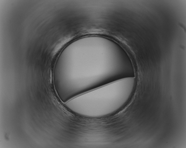 X0000102041317200807181020