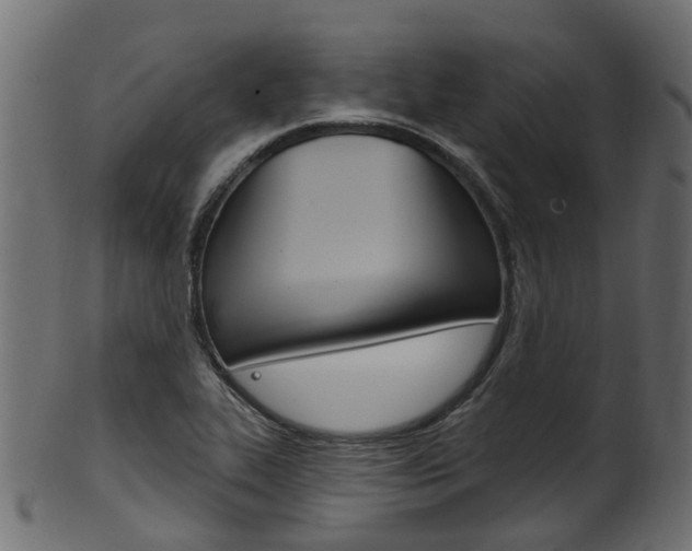 X0000102041319200807181020