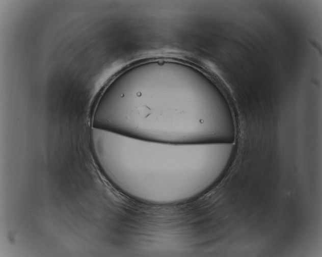 X0000102041320200807181020
