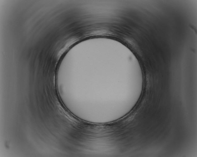 X0000102041322200807181021