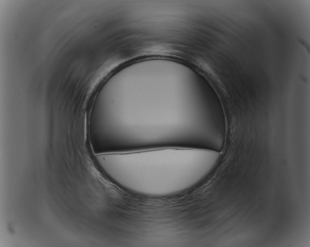 X0000102041323200807181021