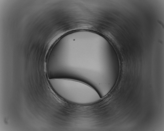 X0000102041324200807181021