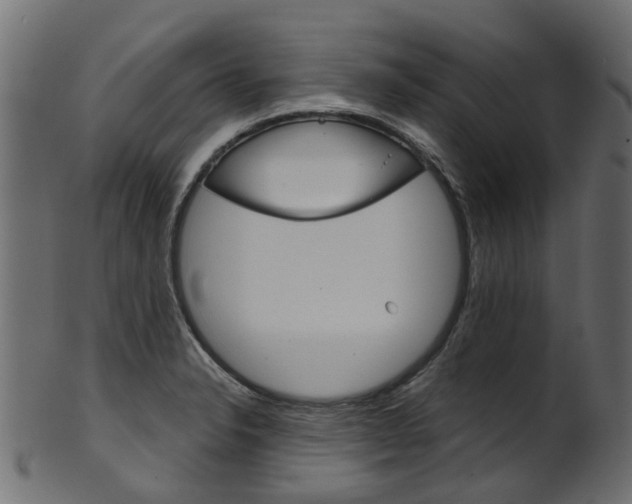 X0000102041326200807181021