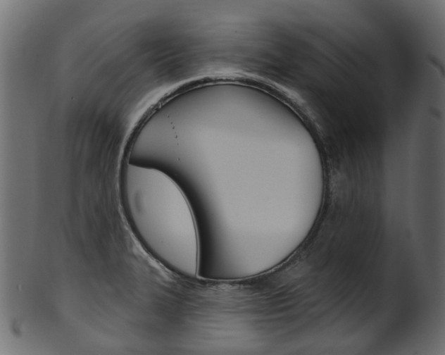 X0000102041327200807181021