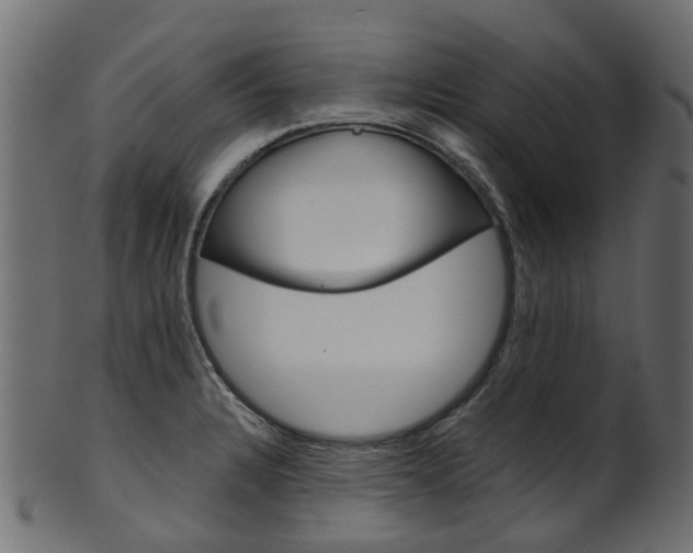 X0000102041328200807181021