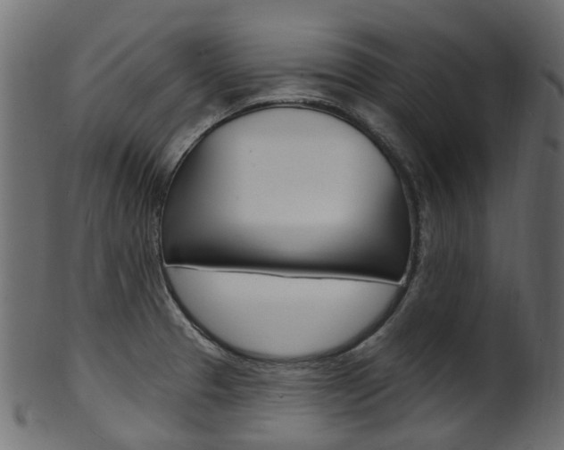 X0000102041329200807181021