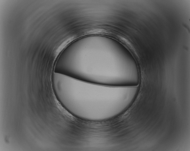 X0000102041330200807181021