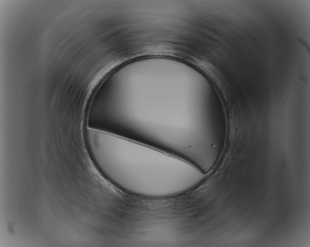 X0000102041331200807181021