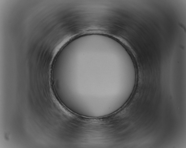 X0000102041333200807181021