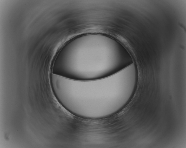 X0000102041334200807181021