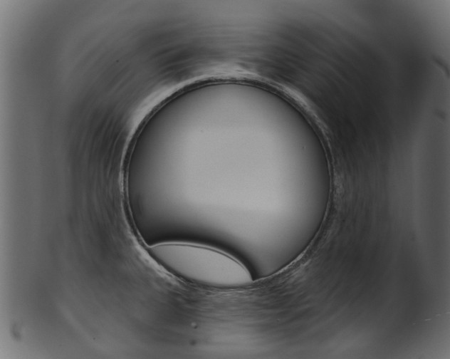 X0000102041335200807181021