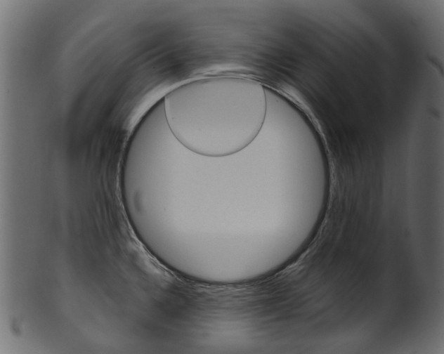 X0000102041336200807181021