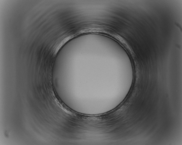 X0000102041337200807181021