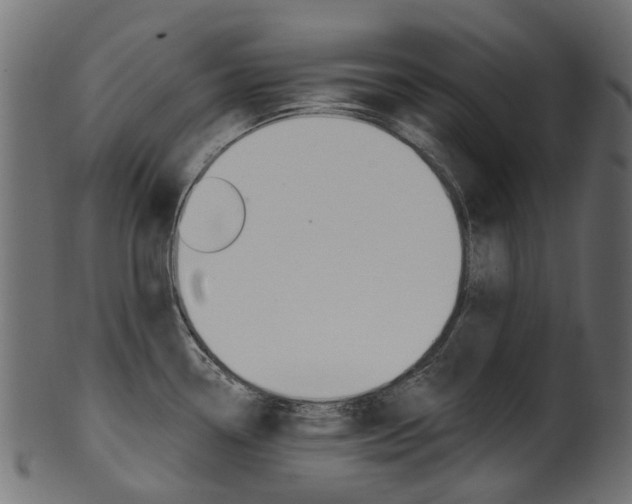 X0000102041338200807181021