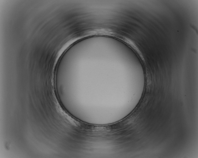 X0000102041339200807181021