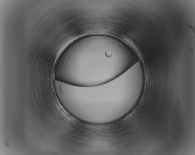 X0000102041340200807181021