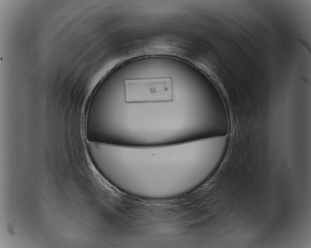 X0000102041342200807181021