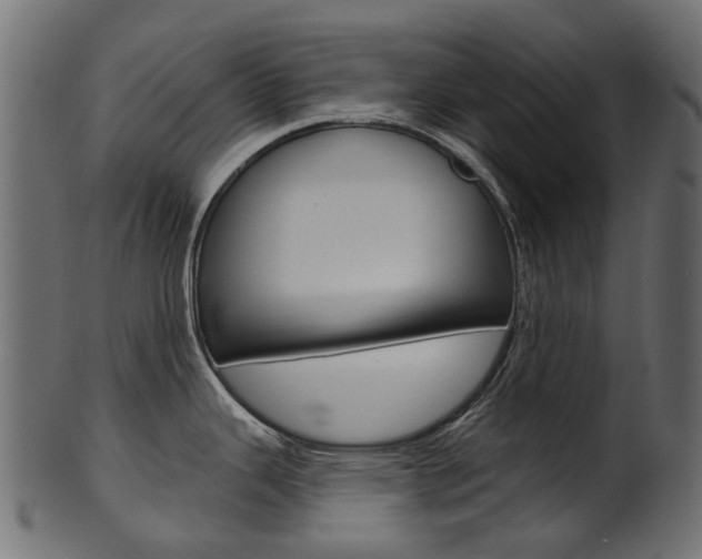 X0000102041343200807181021