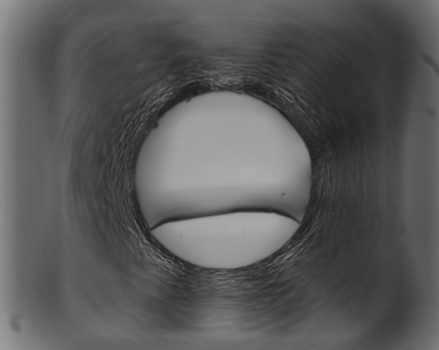 X0000102041345200807181020