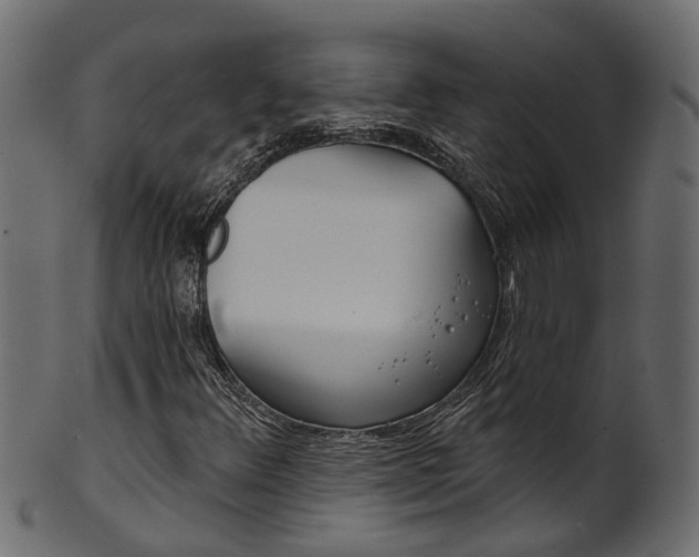 X0000102041348200807181020